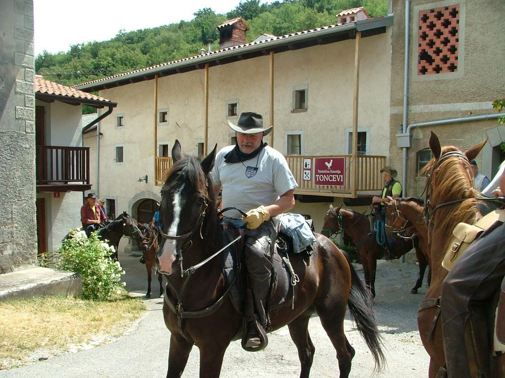 Hotel Toncevi Eco Estate Branik Esterno foto
